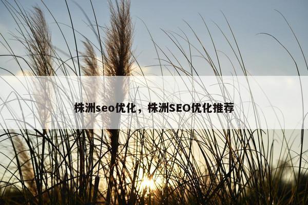 株洲seo优化，株洲SEO优化推荐