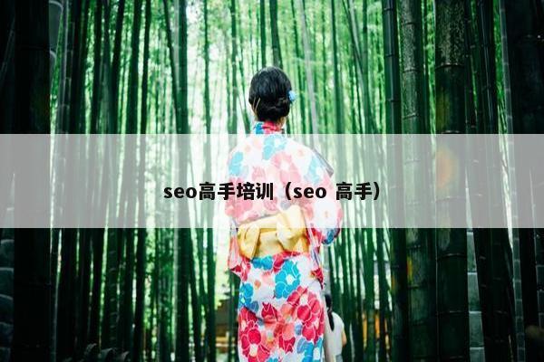 seo高手培训（seo 高手）