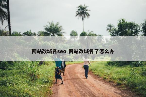 网站改域名seo 网站改域名了怎么办