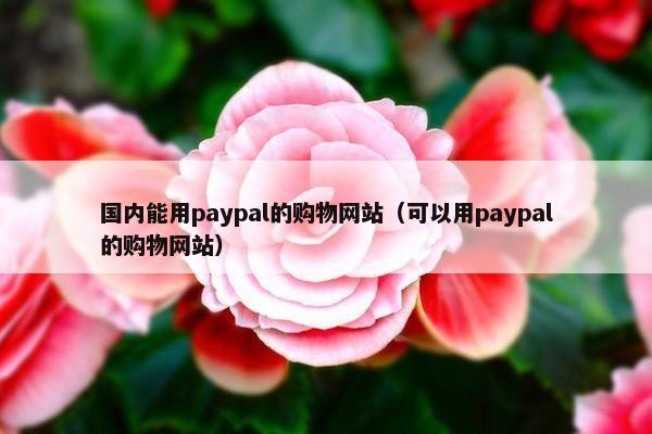 国内能用paypal的购物网站（可以用paypal的购物网站）