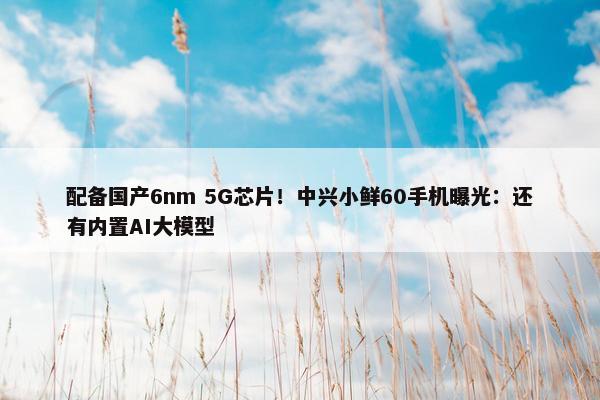 配备国产6nm 5G芯片！中兴小鲜60手机曝光：还有内置AI大模型