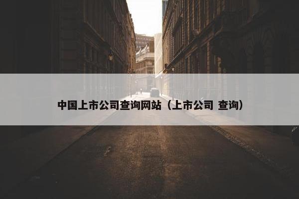 中国上市公司查询网站（上市公司 查询）