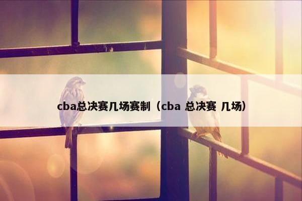 cba总决赛几场赛制（cba 总决赛 几场）