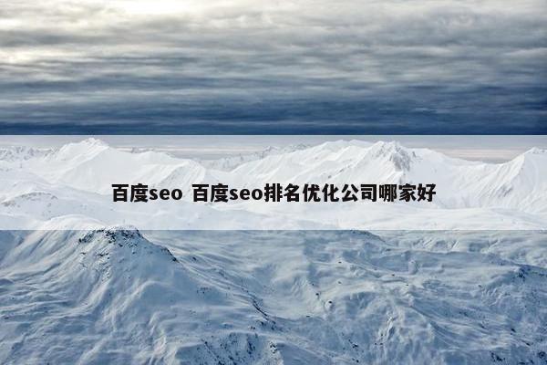 百度seo 百度seo排名优化公司哪家好