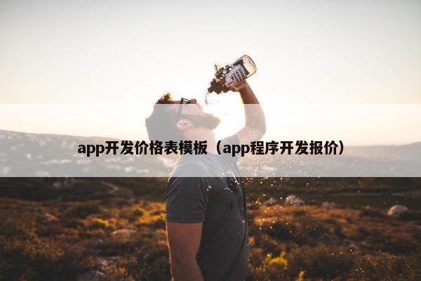 app开发价格表模板（app程序开发报价）