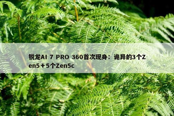 锐龙AI 7 PRO 360首次现身：诡异的3个Zen5＋5个Zen5c