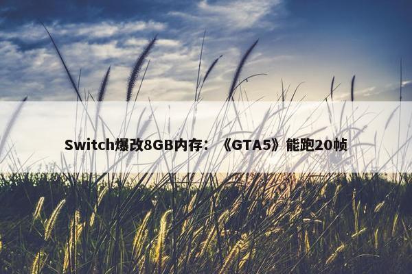 Switch爆改8GB内存：《GTA5》能跑20帧