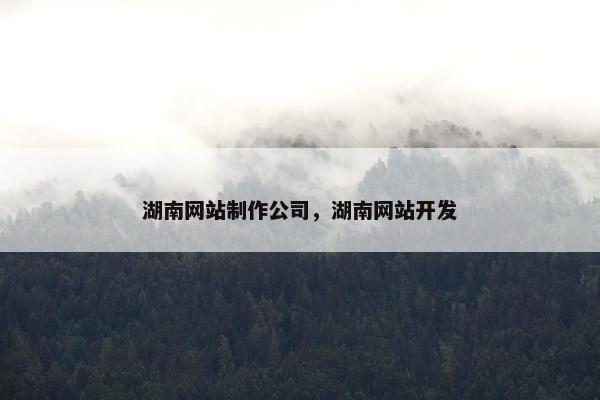 湖南网站制作公司，湖南网站开发