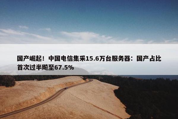 国产崛起！中国电信集采15.6万台服务器：国产占比首次过半飚至67.5%