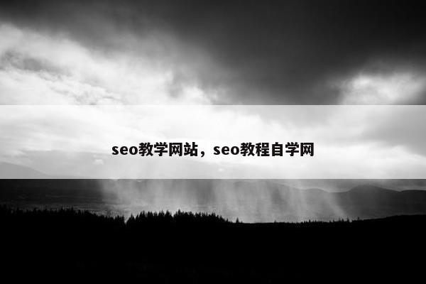 seo教学网站，seo教程自学网