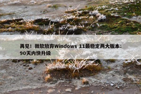 再见！微软放弃Windows 11最稳定两大版本：90天内快升级