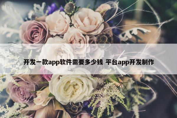 开发一款app软件需要多少钱 平台app开发制作