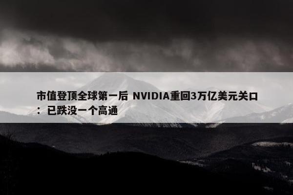 市值登顶全球第一后 NVIDIA重回3万亿美元关口：已跌没一个高通