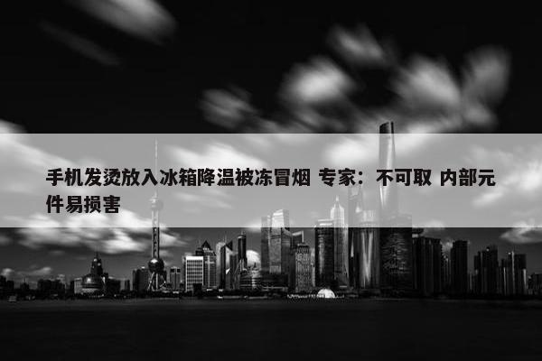 手机发烫放入冰箱降温被冻冒烟 专家：不可取 内部元件易损害