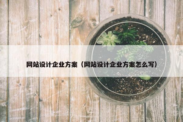 网站设计企业方案（网站设计企业方案怎么写）