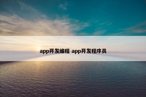 app开发编程 app开发程序员