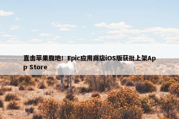 直击苹果腹地！Epic应用商店iOS版获批上架App Store