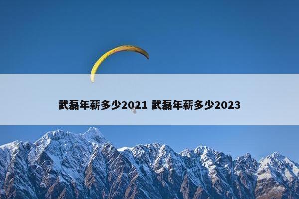 武磊年薪多少2021 武磊年薪多少2023