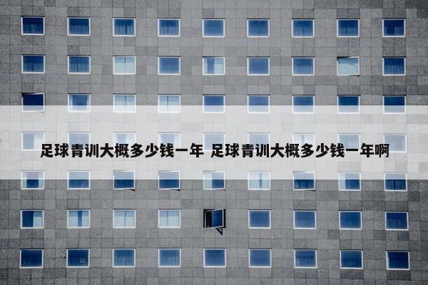 足球青训大概多少钱一年 足球青训大概多少钱一年啊