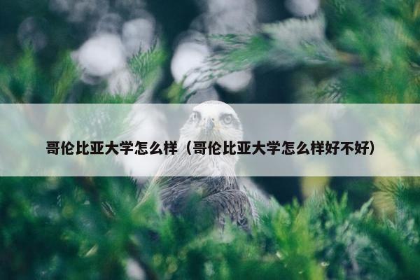 哥伦比亚大学怎么样（哥伦比亚大学怎么样好不好）