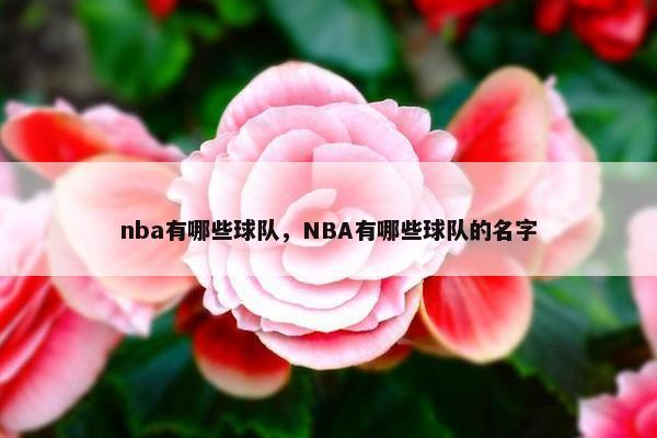 nba有哪些球队，NBA有哪些球队的名字