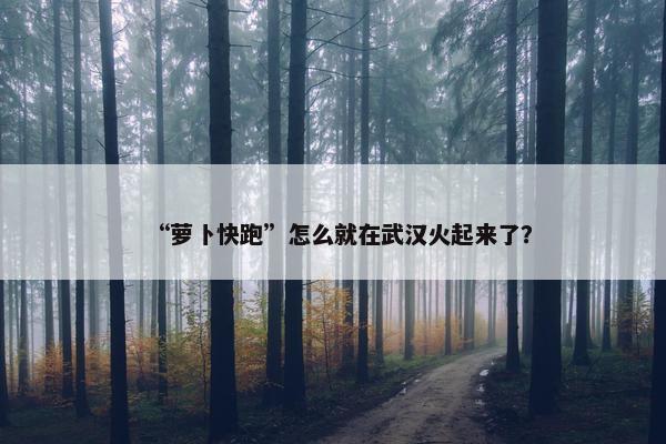 “萝卜快跑”怎么就在武汉火起来了？