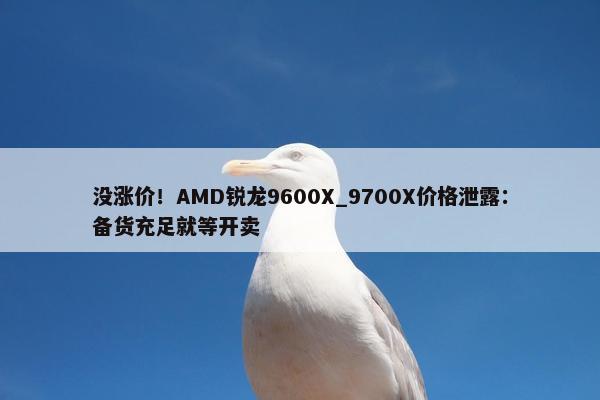 没涨价！AMD锐龙9600X_9700X价格泄露：备货充足就等开卖