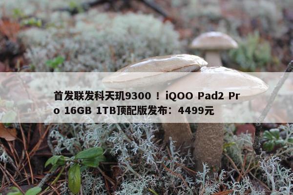 首发联发科天玑9300 ！iQOO Pad2 Pro 16GB 1TB顶配版发布：4499元