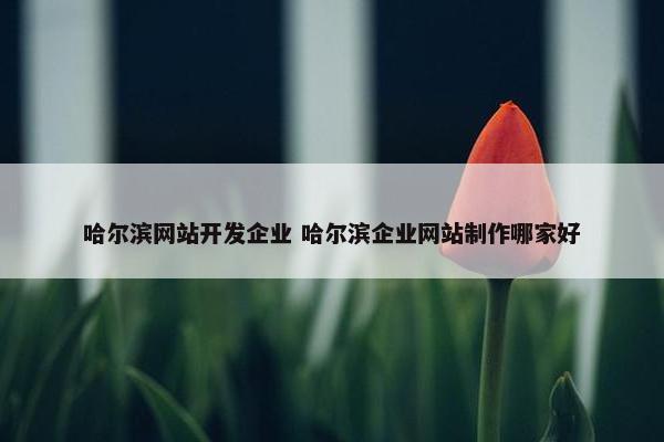 哈尔滨网站开发企业 哈尔滨企业网站制作哪家好