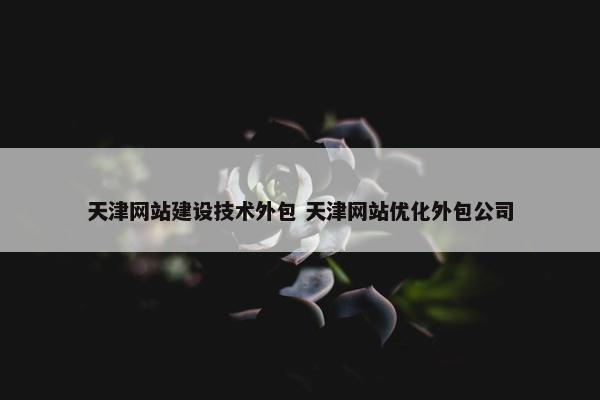 天津网站建设技术外包 天津网站优化外包公司