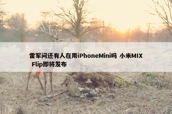 雷军问还有人在用iPhoneMini吗 小米MIX Flip即将发布