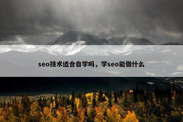 seo技术适合自学吗，学seo能做什么