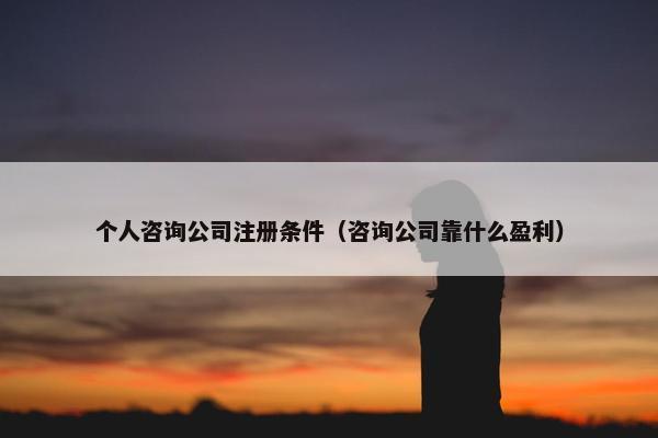 个人咨询公司注册条件（咨询公司靠什么盈利）