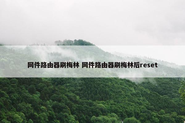 网件路由器刷梅林 网件路由器刷梅林后reset