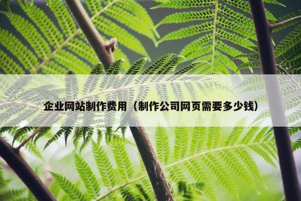 企业网站制作费用（制作公司网页需要多少钱）