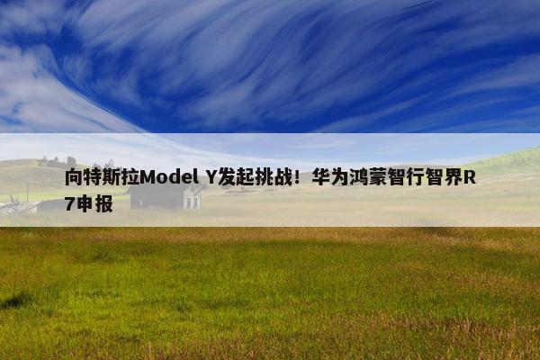 向特斯拉Model Y发起挑战！华为鸿蒙智行智界R7申报