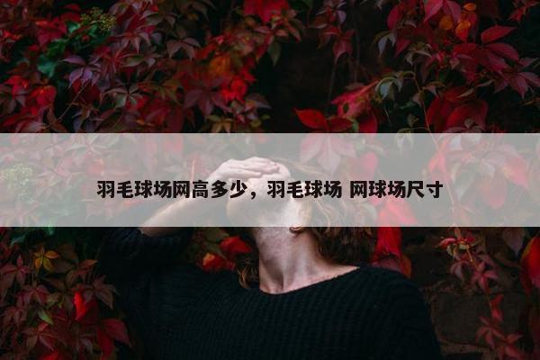 羽毛球场网高多少，羽毛球场 网球场尺寸