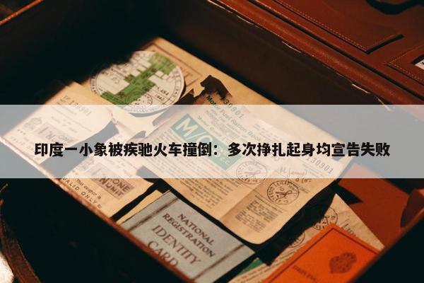 印度一小象被疾驰火车撞倒：多次挣扎起身均宣告失败