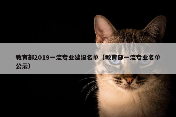 教育部2019一流专业建设名单（教育部一流专业名单公示）