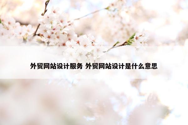 外贸网站设计服务 外贸网站设计是什么意思