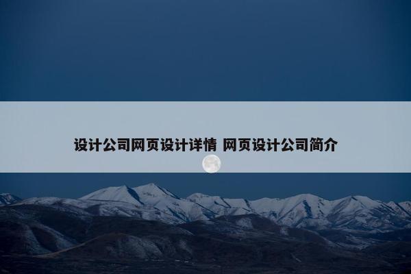 设计公司网页设计详情 网页设计公司简介