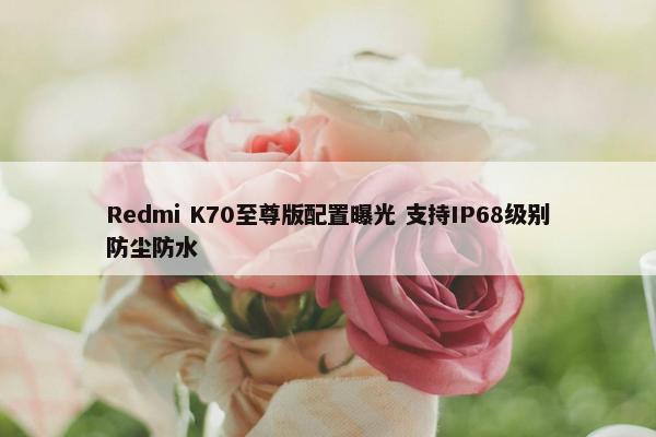 Redmi K70至尊版配置曝光 支持IP68级别防尘防水