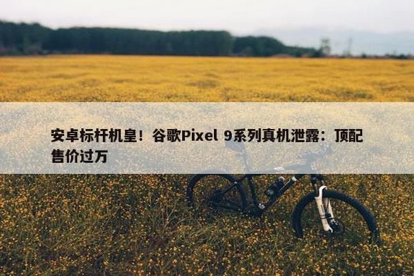 安卓标杆机皇！谷歌Pixel 9系列真机泄露：顶配售价过万