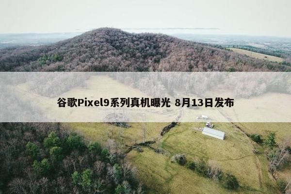 谷歌Pixel9系列真机曝光 8月13日发布