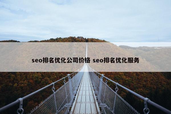 seo排名优化公司价格 seo排名优化服务