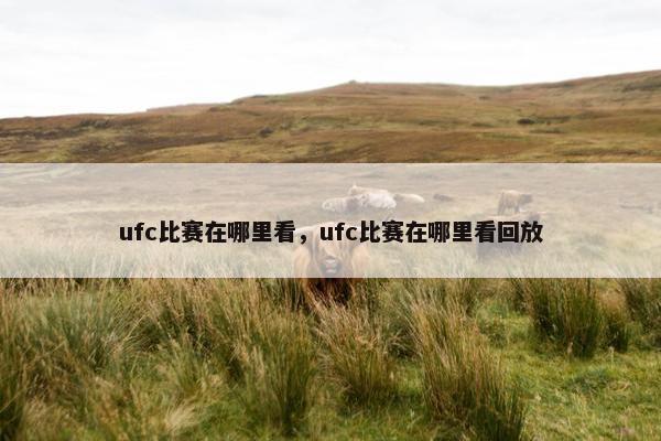 ufc比赛在哪里看，ufc比赛在哪里看回放