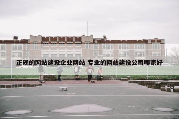 正规的网站建设企业网站 专业的网站建设公司哪家好