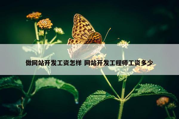 做网站开发工资怎样 网站开发工程师工资多少