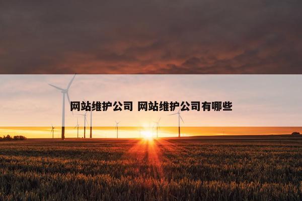 网站维护公司 网站维护公司有哪些