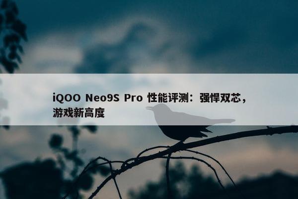 iQOO Neo9S Pro 性能评测：强悍双芯，游戏新高度